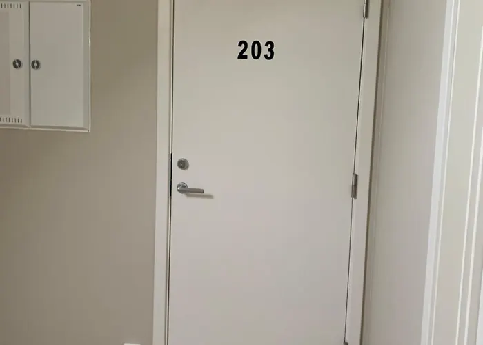 Modern 203